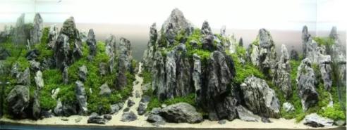 作品《青山连碧》 作品《青山连碧》